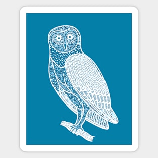 Barn Owl - hand drawn owl design Magnet